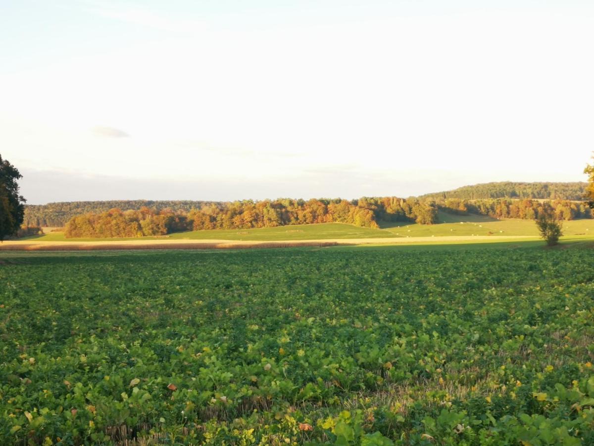 La Mirabelle Des 3 Forets Bricon المظهر الخارجي الصورة